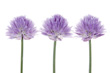 View enlarged image