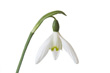 View enlarged image