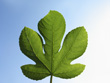 View enlarged image