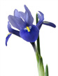 View enlarged image
