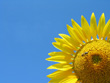 View enlarged image
