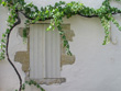 View enlarged image