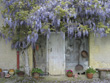 View enlarged image